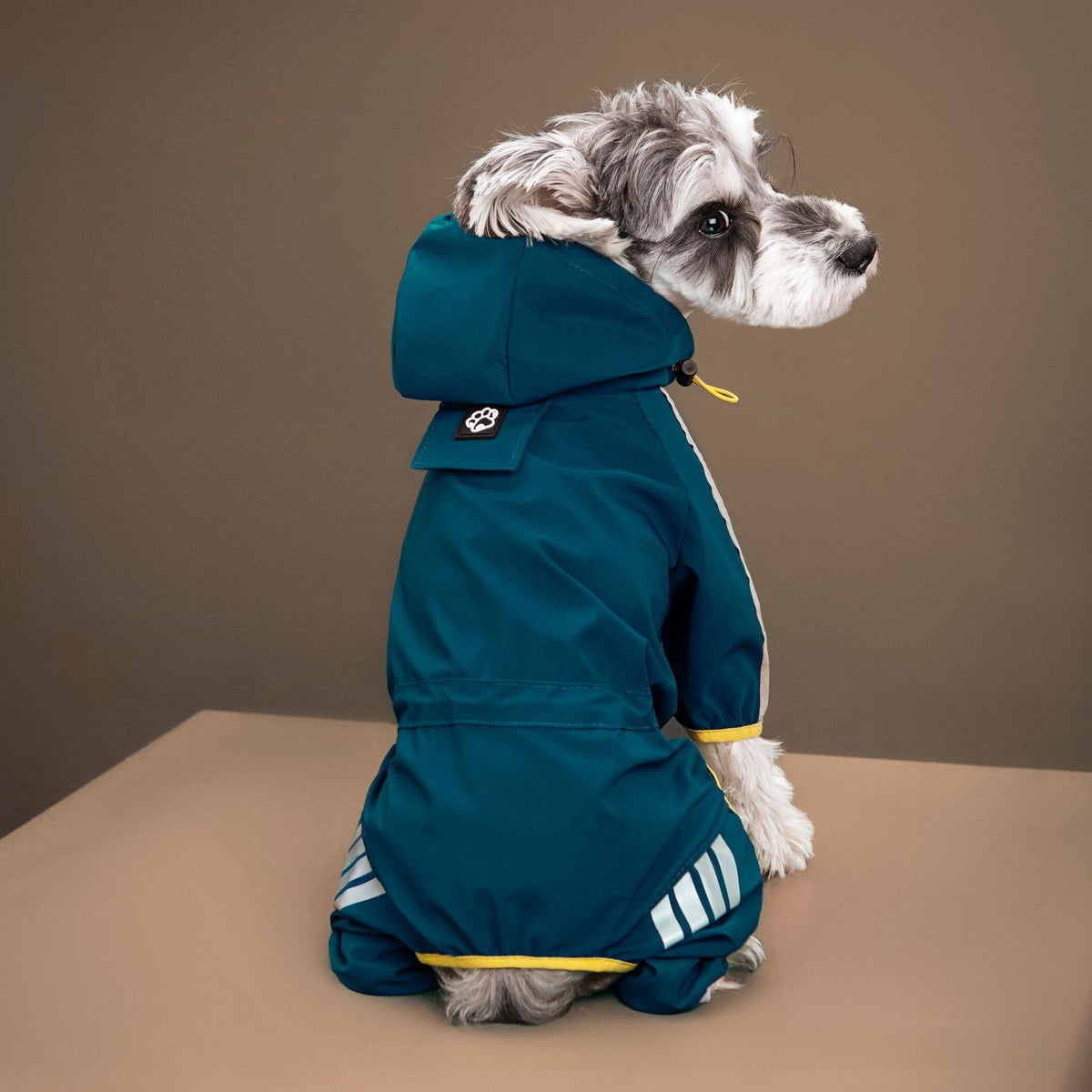 Hooded reflective four leg dog raincoats in four bright colours
