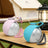 Foldable Stainless Steel Pet Travel Water Bottle, Leak-Proof