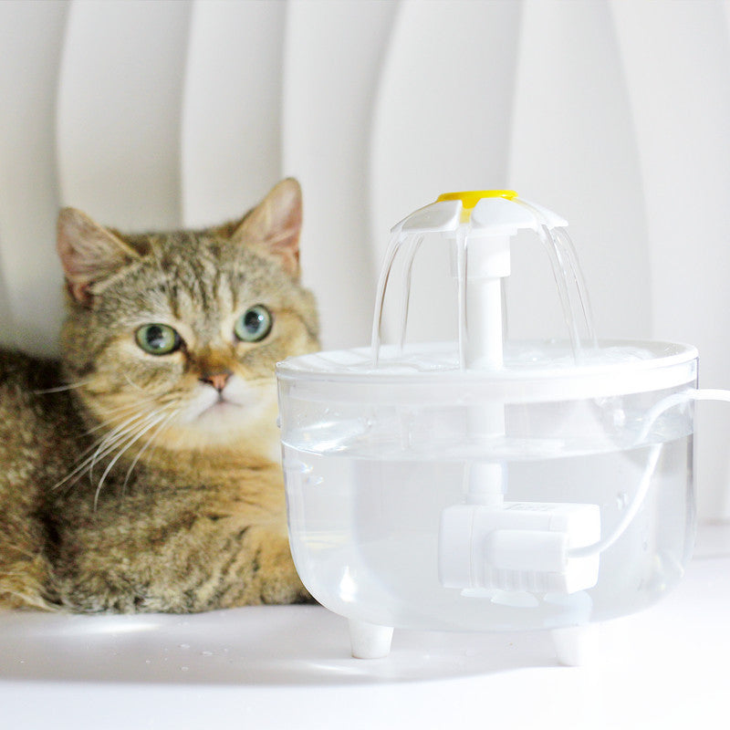 Automatic Circulation Pet Water Fountain with Multi-Stage Filter and Quiet Pump