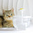Automatic Circulation Pet Water Fountain with Multi-Stage Filter and Quiet Pump