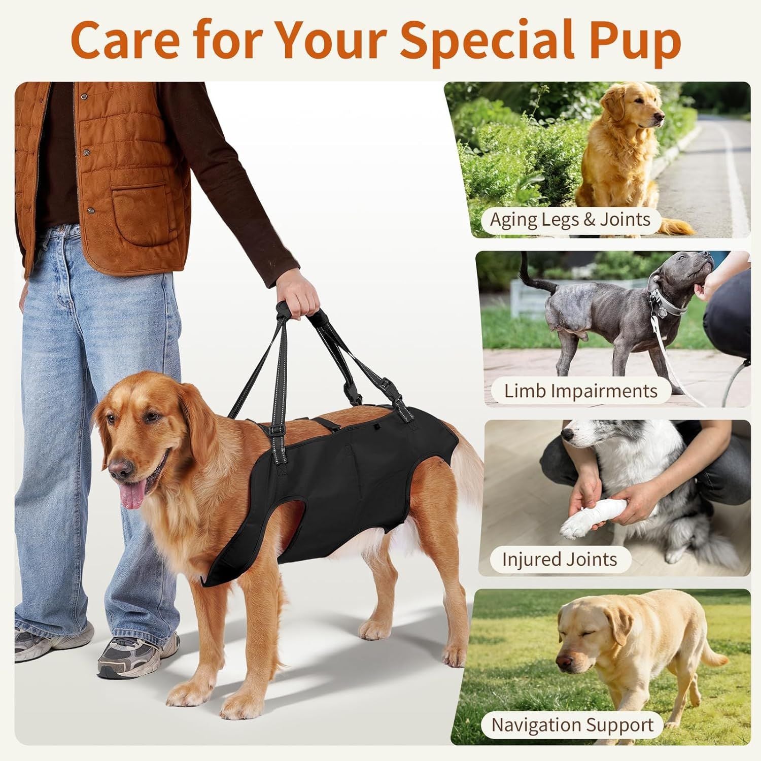 Reflective dog harness with lift handle for older dogs, view 2