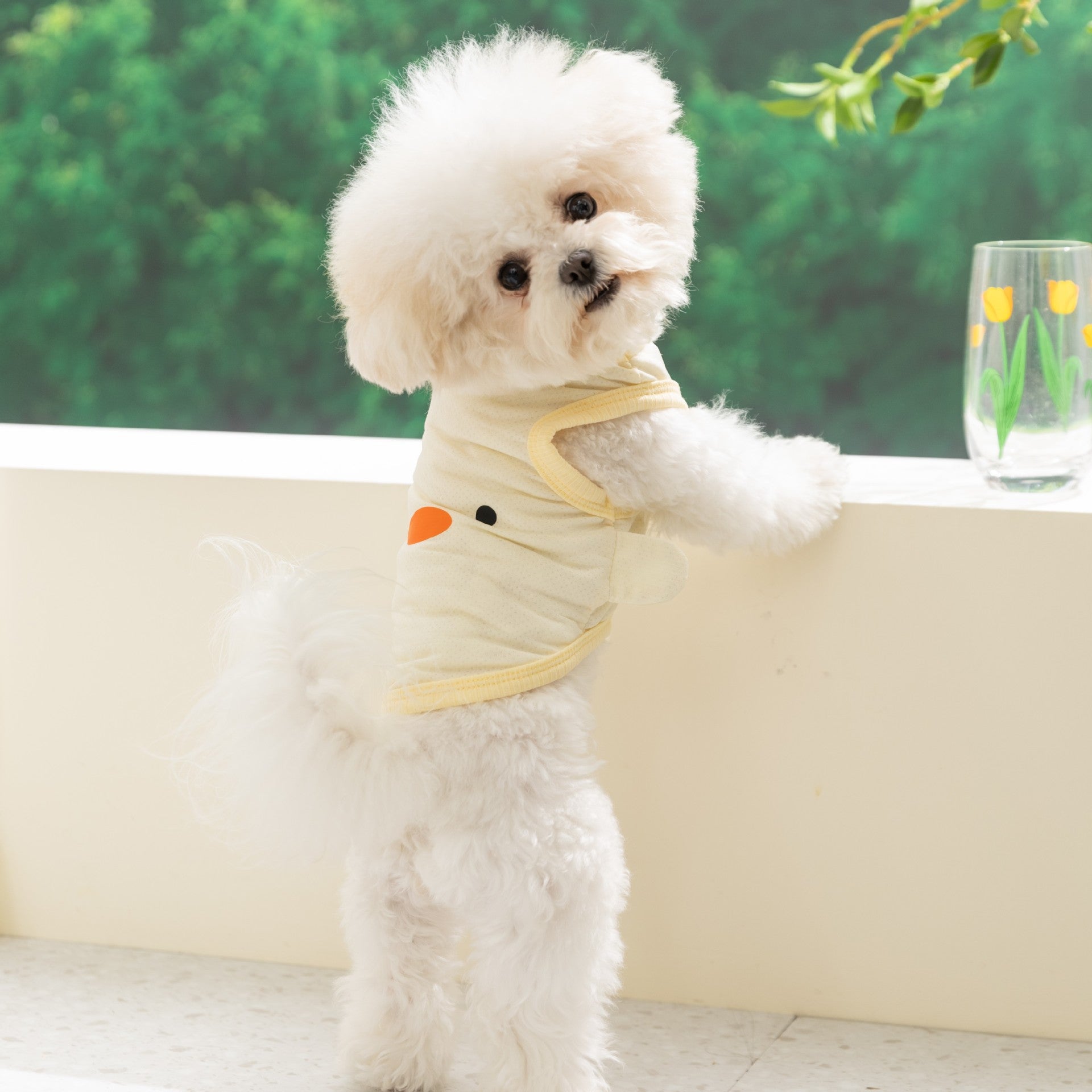 Breathable summer dog vest, available in 11 styles, sizes Extra Small to 2XL, image 2