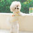 Breathable summer dog vest, available in 11 styles, sizes Extra Small to 2XL, image 2