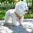 Bear pattern pet harness with matching lead in blue