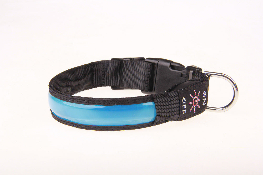 USB rechargeable LED dog collar glowing red at night