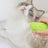 3-in-1 Steam Spray Pet Comb, USB Rechargeable Massage Brush