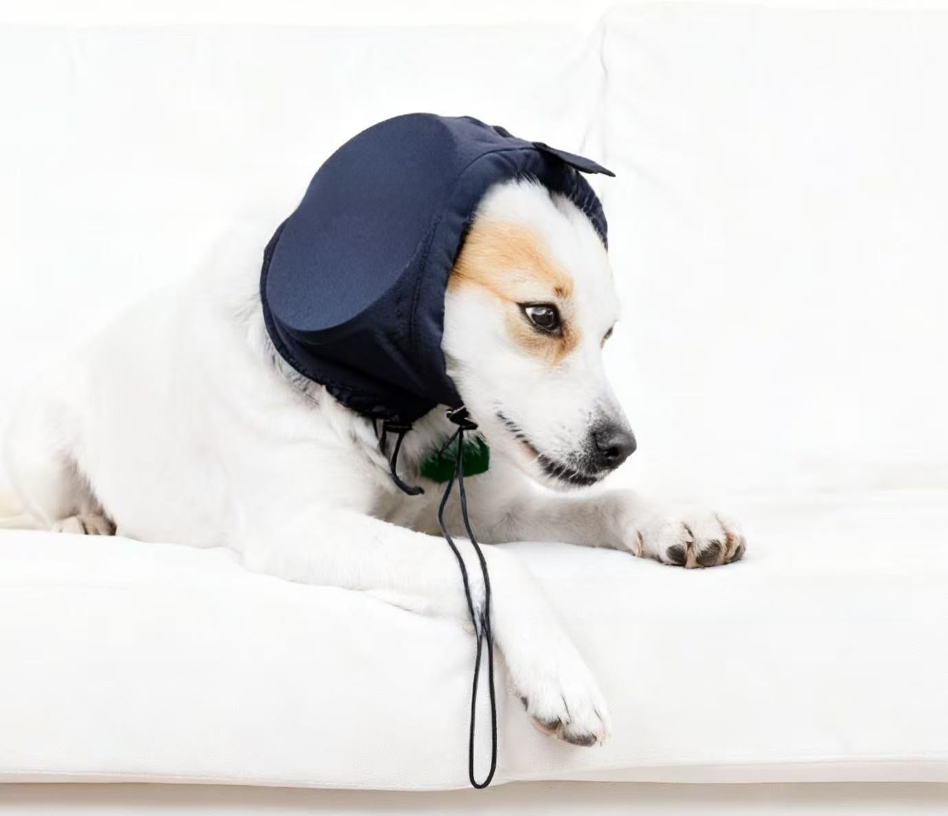 Dog ear muffs with adjustable straps, available in 2 colours, image 7
