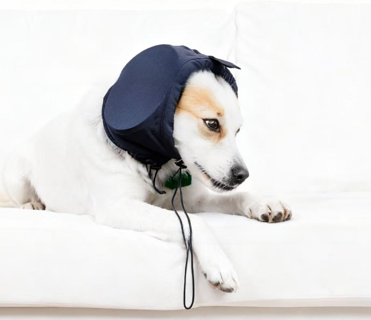 Dog ear muffs with adjustable straps, available in 2 colours, image 7