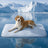 Grey gel pet mat for cooling in summer, photo 23