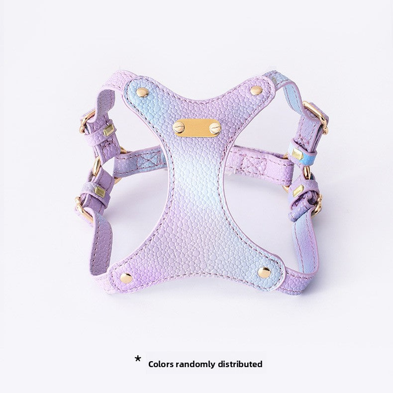 Colourful cat harness and lead set in purple and cloud blue