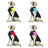 Windproof padded winter dog coat, available in 4 colours, sizes Small to 5XL, image 4