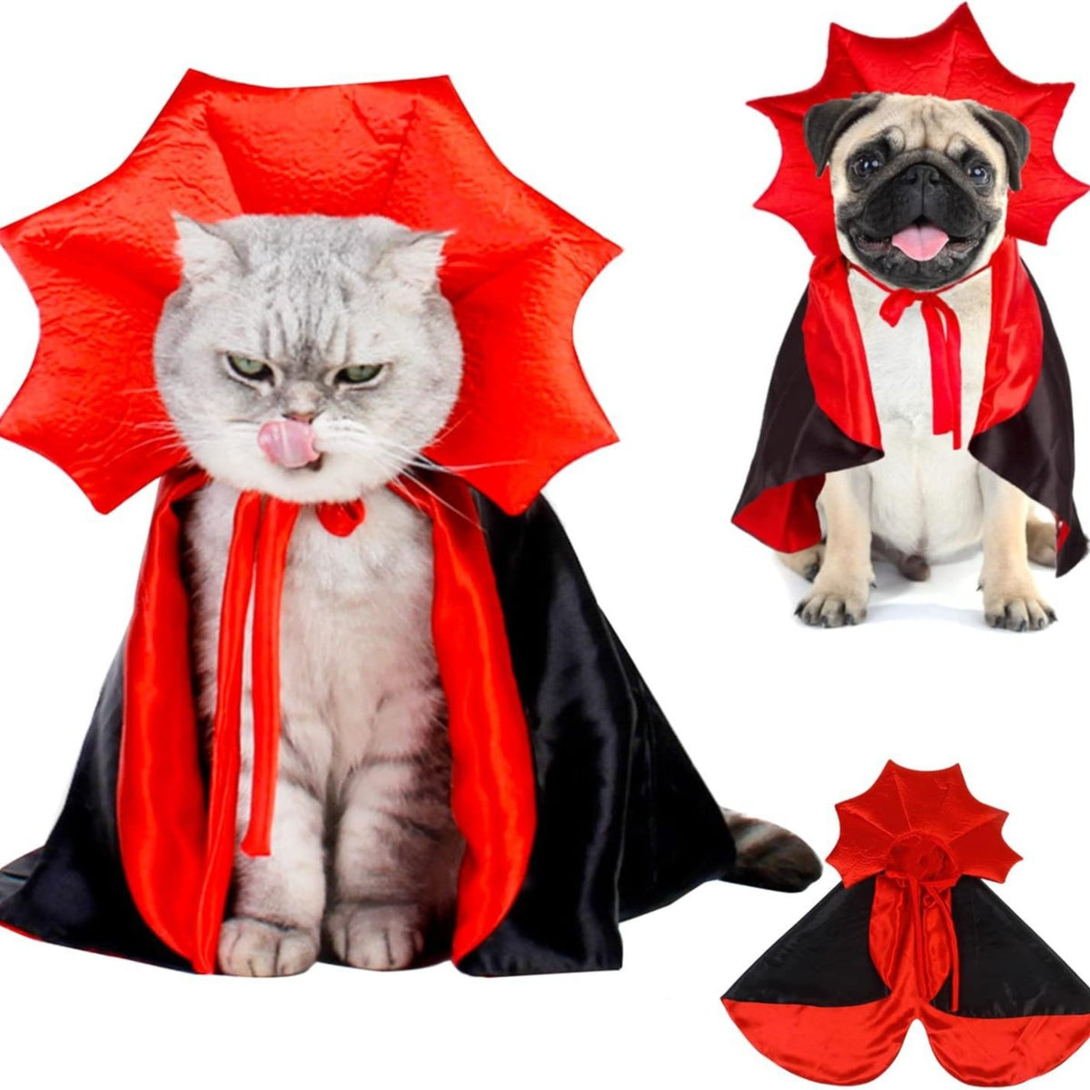 Cat wearing a black and red vampire cloak