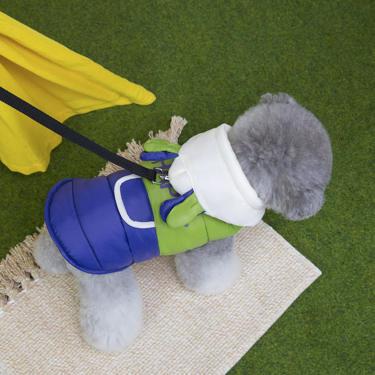 Hooded padded cotton dog coat, available in 2 colours, image 3