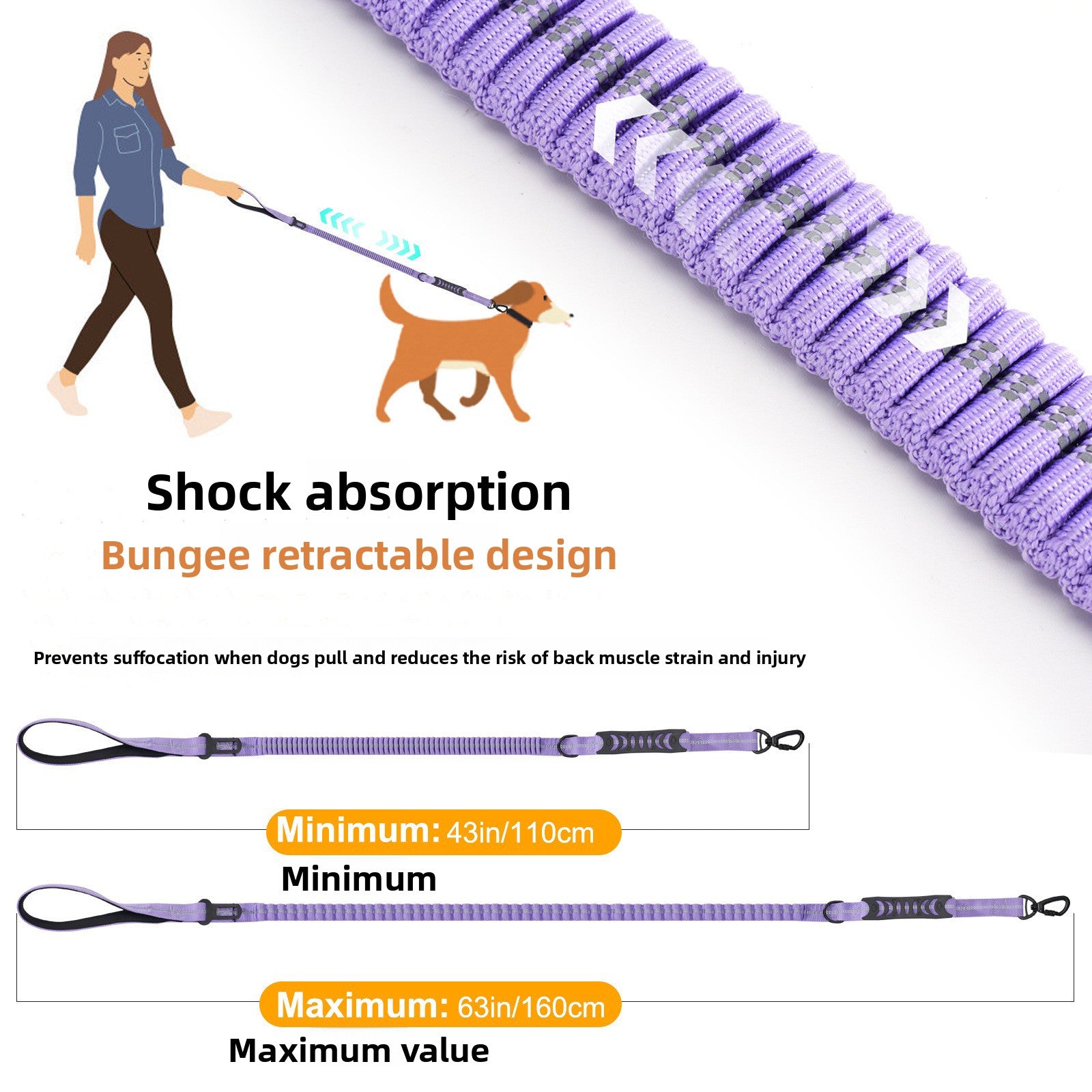 Stretchy bungee dog lead, ideal for everyday use