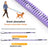 Stretchy bungee dog lead, ideal for everyday use