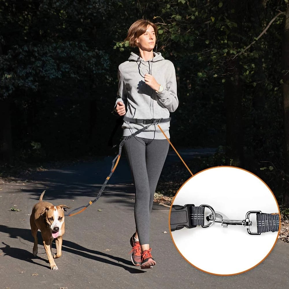 Hands-free bungee lead with two handles in 3 colour options