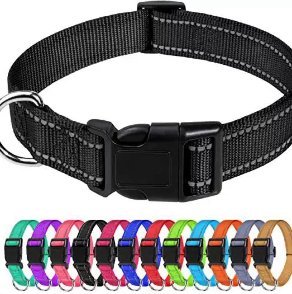 Reflective nylon dog collar in 11 colour options