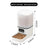 Automatic Pet Feeder