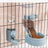 Hanging Pet Feeder and Water Dispenser Set, 500g Food and 500ml Water, Cage Mount