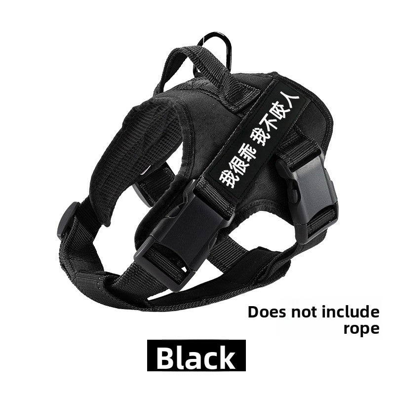 Padded vest dog harness, main product photo from Pet Royale UK