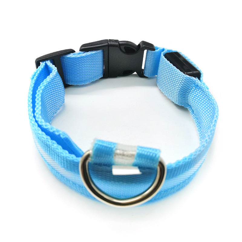 Light up LED dog collar glowing red with reflective strip