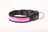 Reflective LED dog collars in red, blue, green and pink