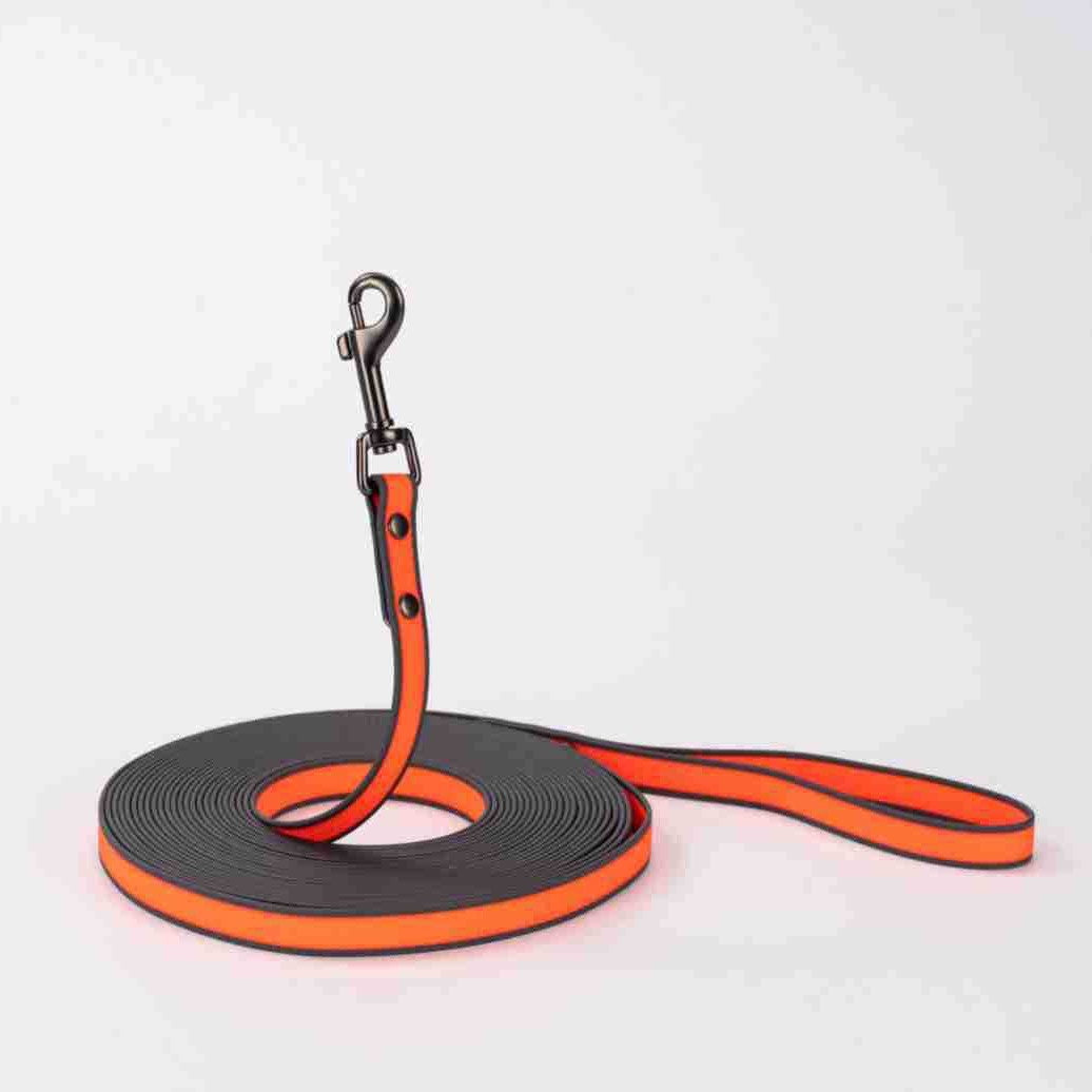 Embossed PVC 5m dog training lead in bright blue