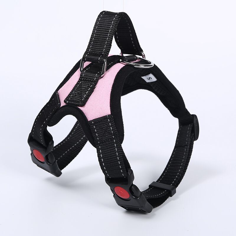 Breathable adjustable dog harness with reflective lead in Blue EVA Reflective Lead, side view