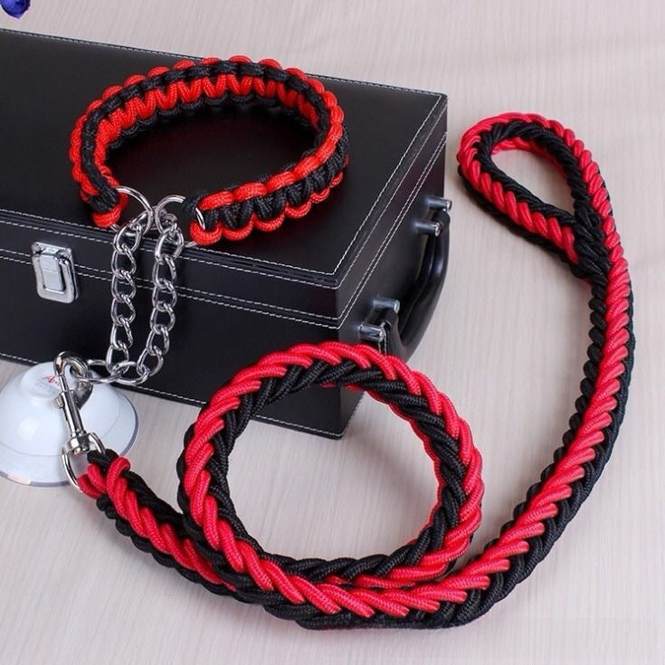 Nylon dog lead with ergonomic grip, ideal for everyday use