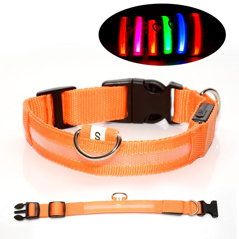 LED light up dog collar glowing green at night