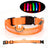 LED light up dog collar glowing green at night