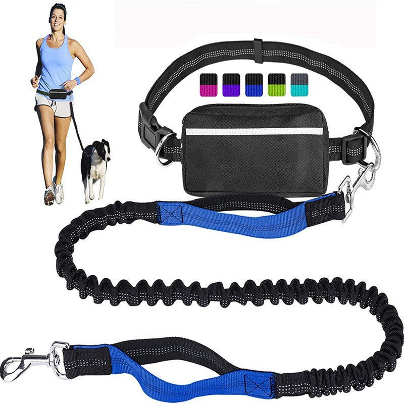 Running dog leads with pouch in seven bright colours