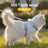 Soft cloth cat harness shown in pink and yellow with lead
