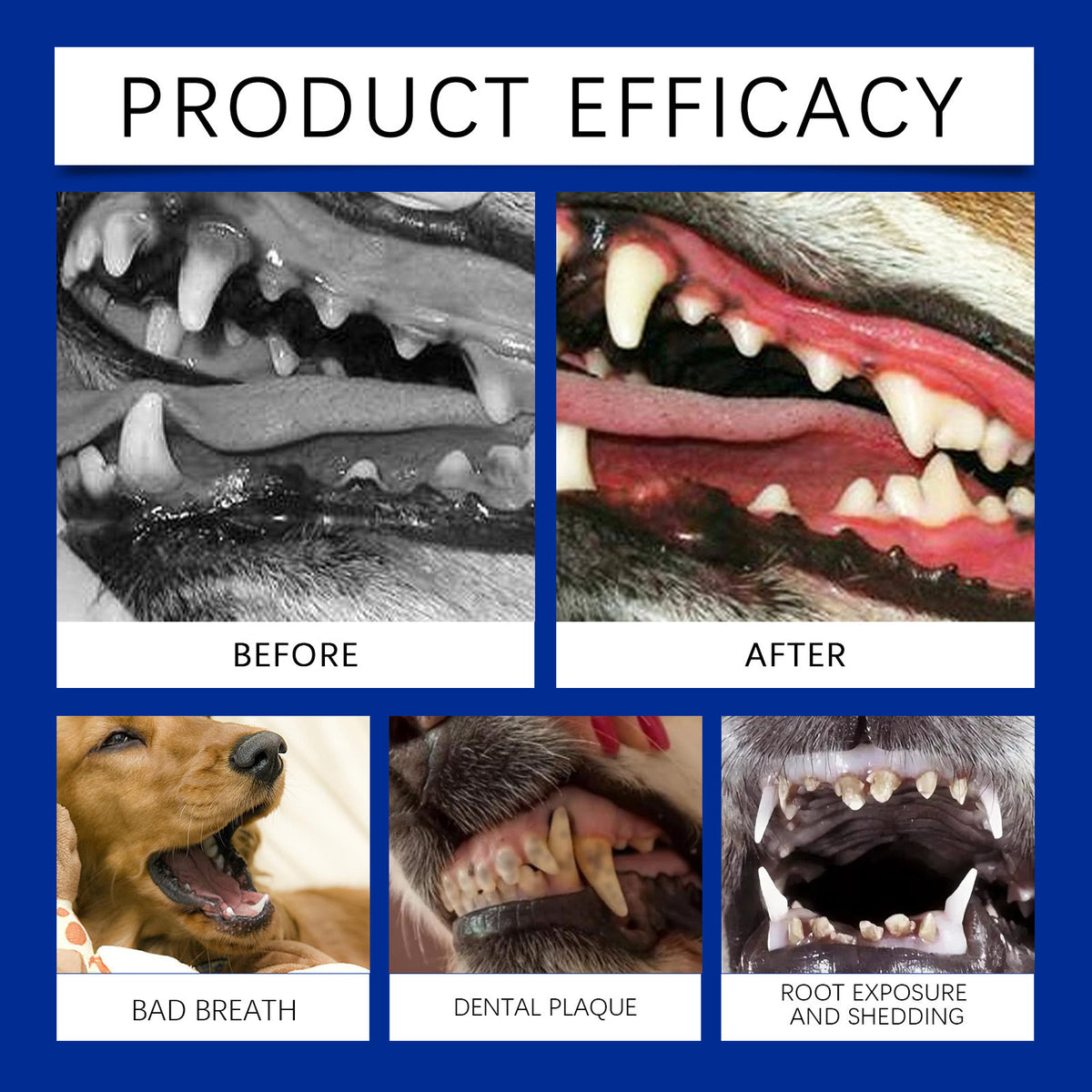 Pet Dental Cleaning Powder with Measuring Spoon, Fresh Breath