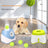 Automatic Tennis Ball Throwing Machine for Cats and Play