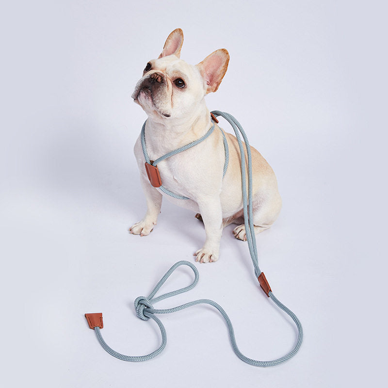 Integrated rope dog harness and lead in 6 colour options