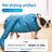 Pet Drying Box for Dogs and Cats