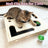 Wooden cat puzzle toy box with bell ball inside, view 3
