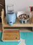 Ceramic Elephant Cat Water Dispenser with Glass Bottle and No-Wet Chin Design