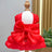 Lace pet wedding dress for small dogs and cats in Red, size Medium