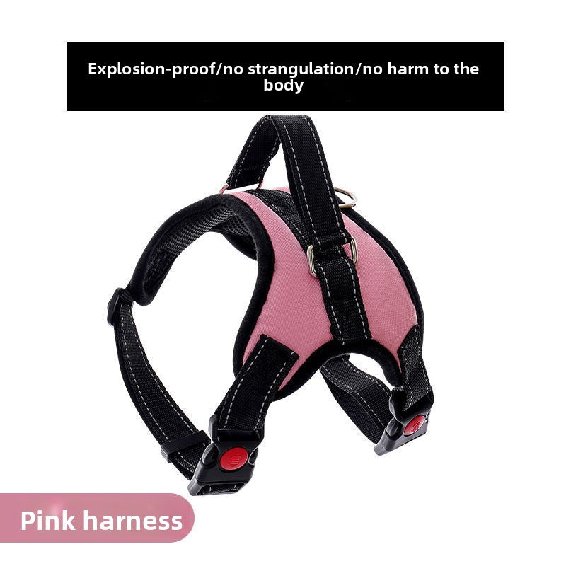 Nylon dog harness with thick eight strand rope lead in red