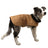 Quilted canvas dog coat, available in 5 styles, sizes Small to Medium, image 2