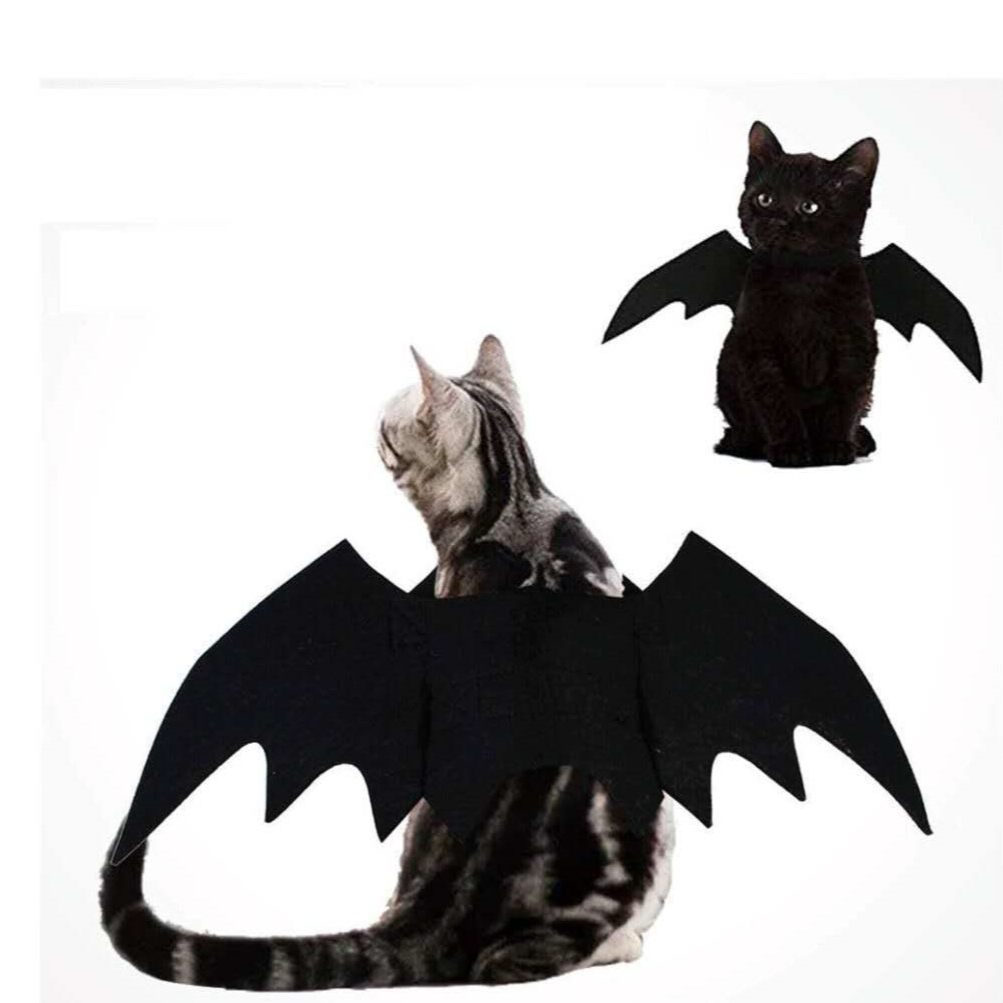 Black cat wearing black felt Halloween bat wings