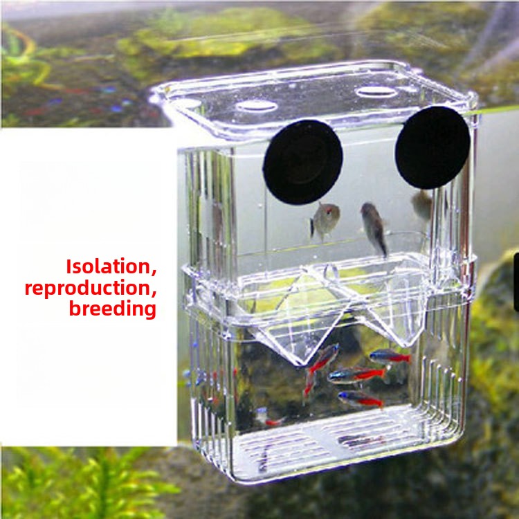 Clear acrylic fish breeding box for guppies in a tank, view 1