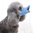 Adjustable duckbill dog muzzle in breathable plastic for small dogs, view 4