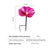 Decorative Wrought Iron Garden Bird Feeder and Bird Bath with Flower Design