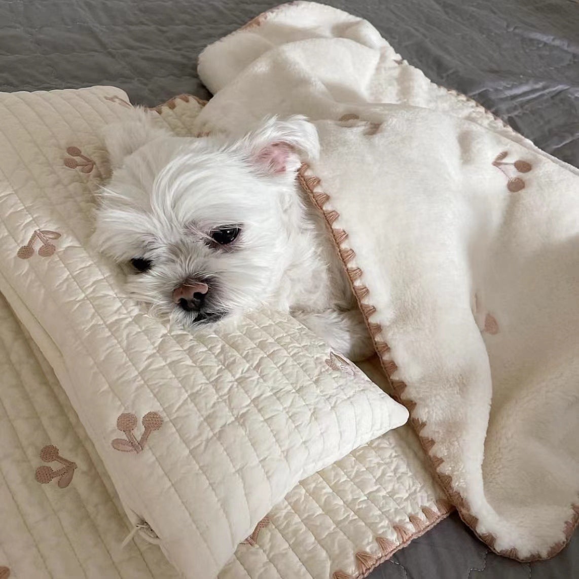 Washable dog bed set with pillow mat and blanket, photo 3 of 7