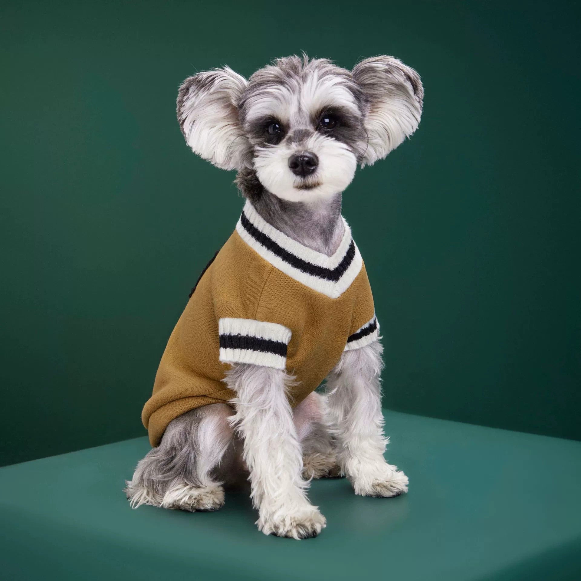 Knitted preppy V-neck pet jumper vest in V-Neck Green, close-up detail