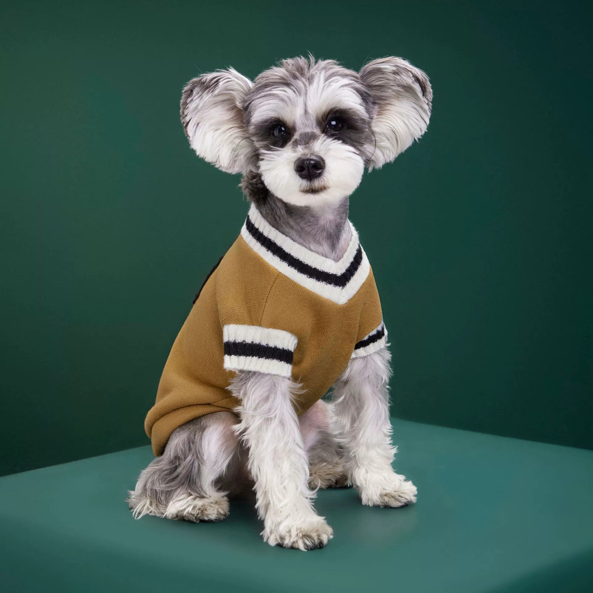 Knitted preppy V-neck pet jumper vest in V-Neck Green, close-up detail
