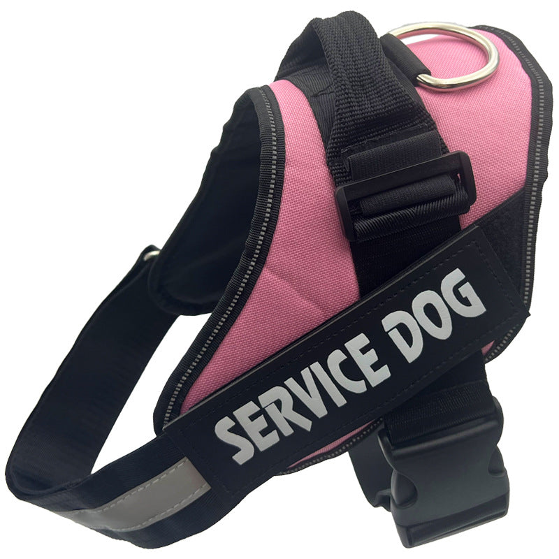 Reflective nylon dog harness with lead in blue, product image 25